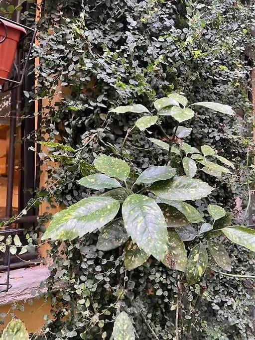 Loft Di Design Nel Cuore Di Milano Italie